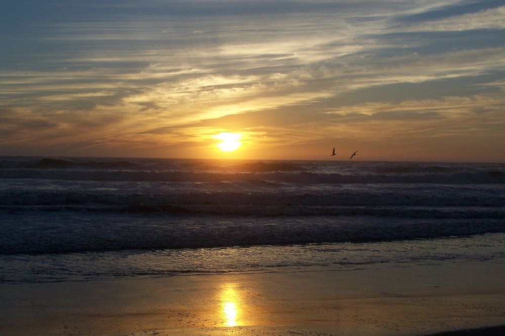 Photo of Others in Pajaro Dunes