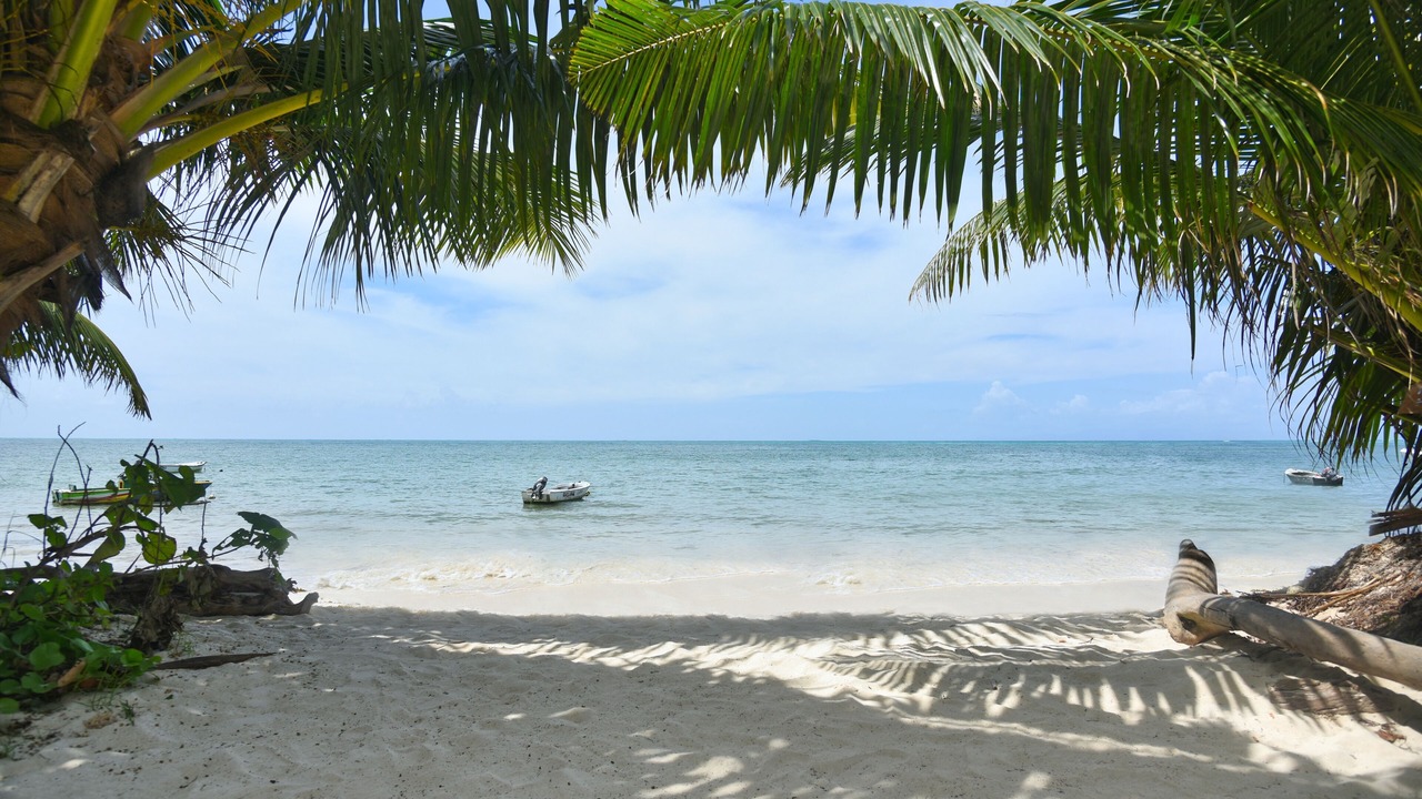 Photo of Outdoor in Amitie