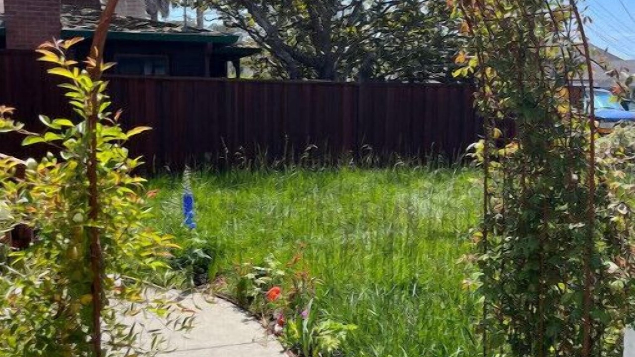 Photo of Outdoor in Opal Cliffs