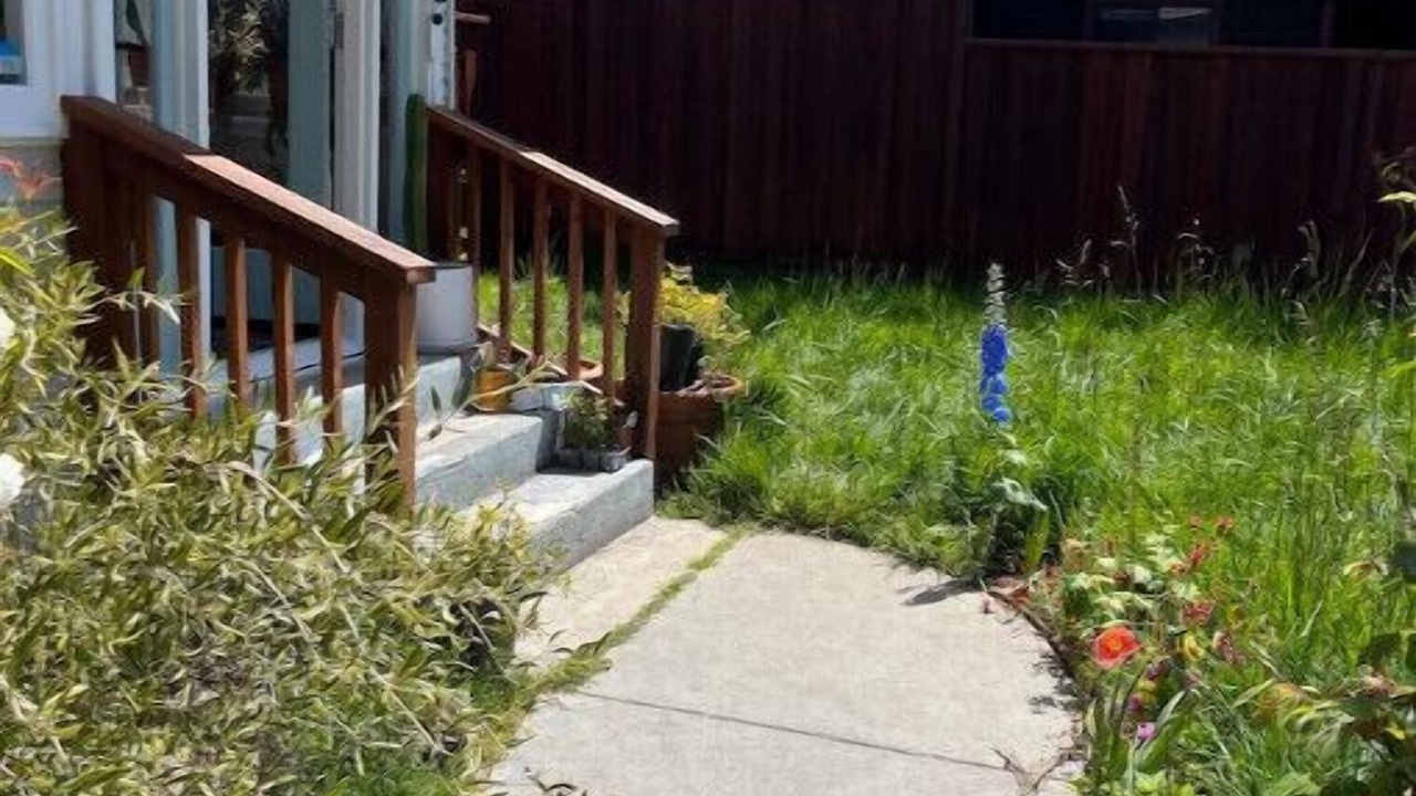 Photo of Outdoor in Opal Cliffs