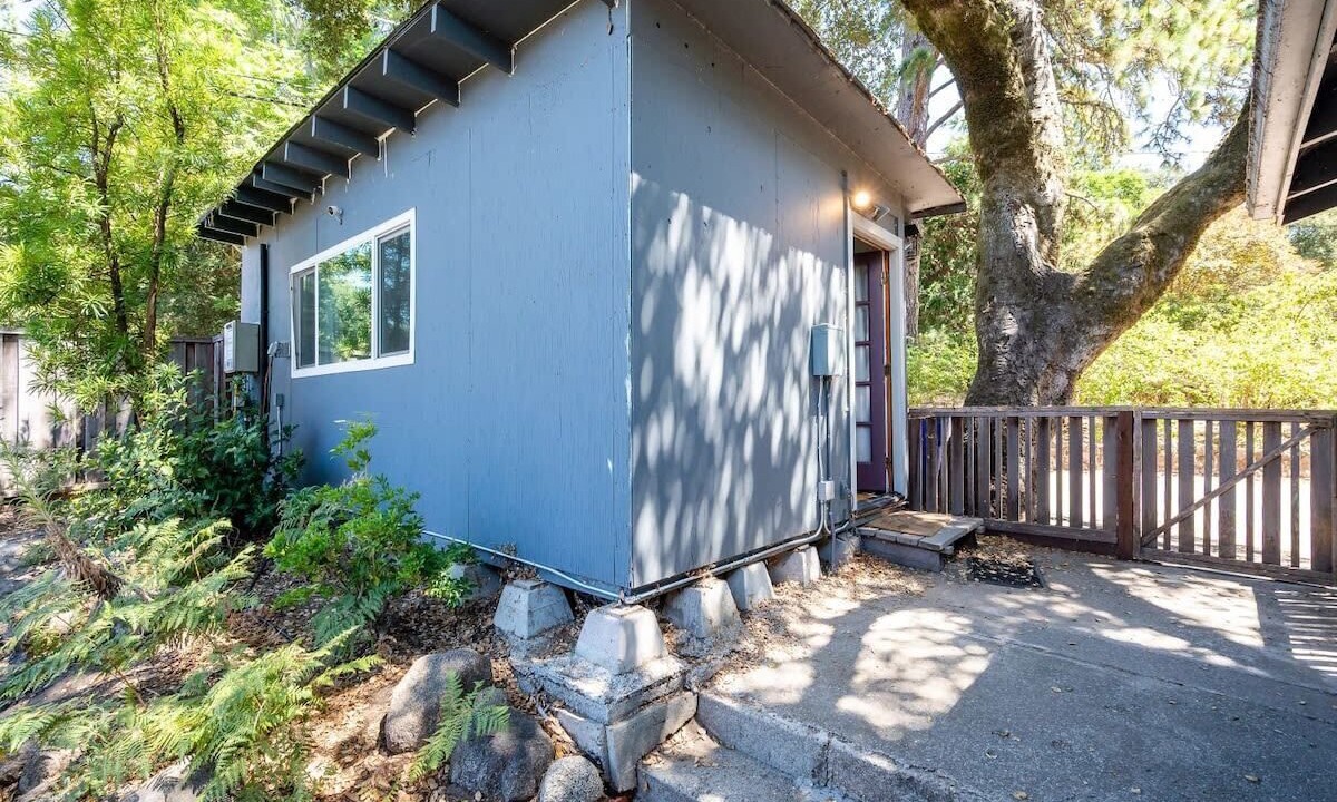 Photo of Outdoor in Ben Lomond