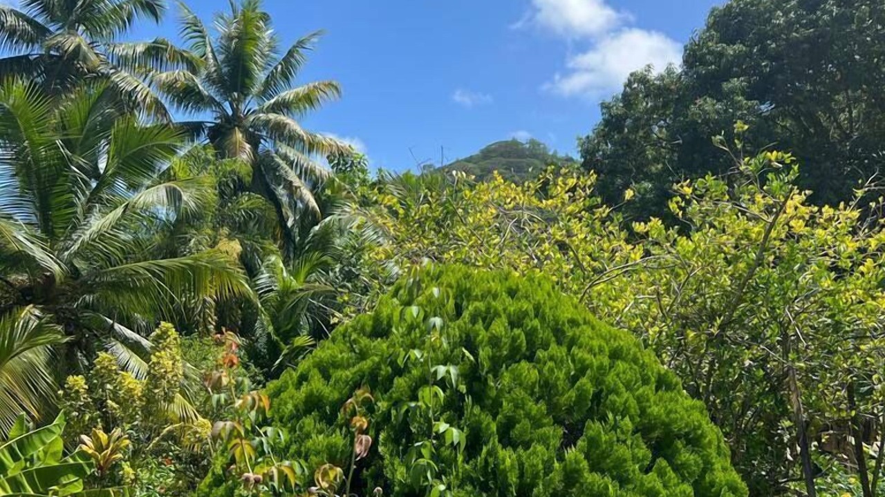 Photo of Outdoor in Mahe Island
