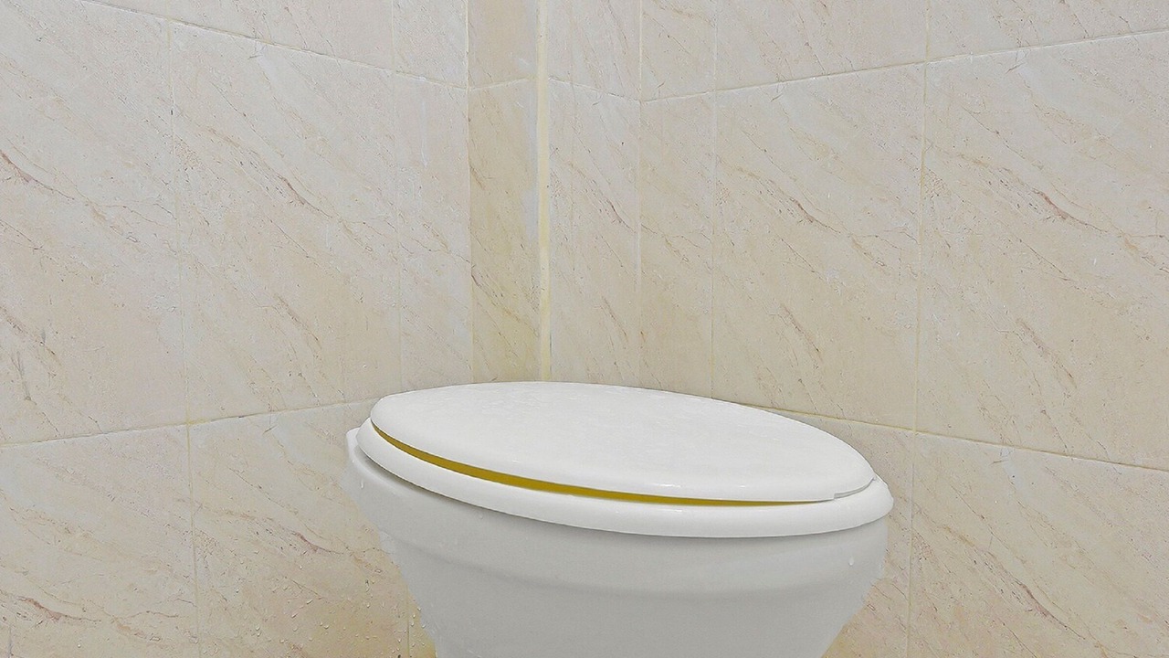 Photo of Bathroom in Penatih