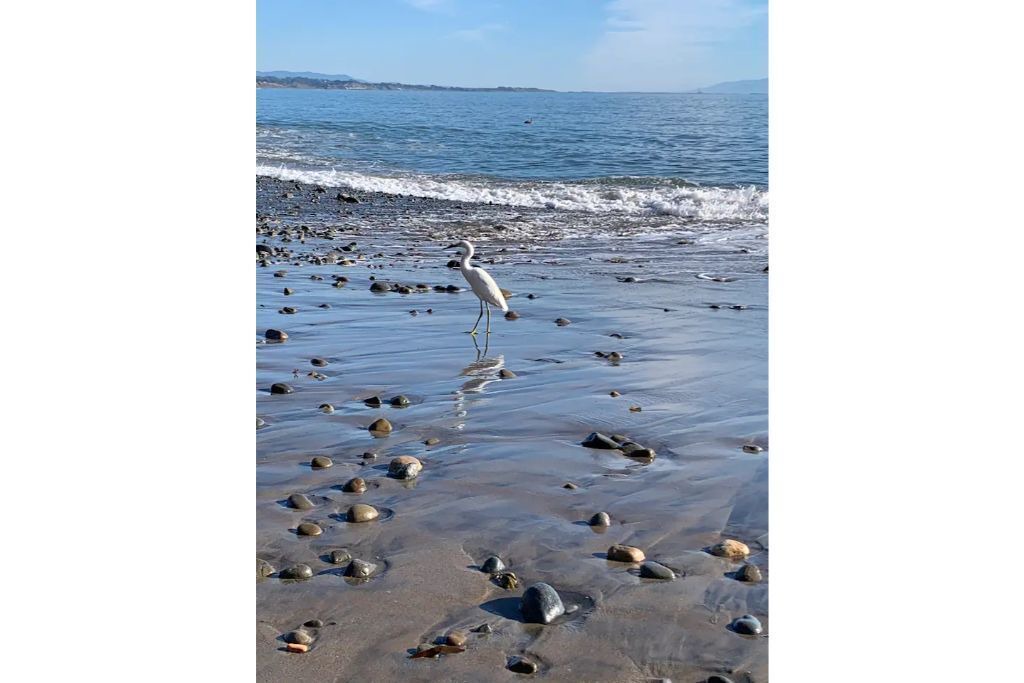 Photo of Others in Aptos