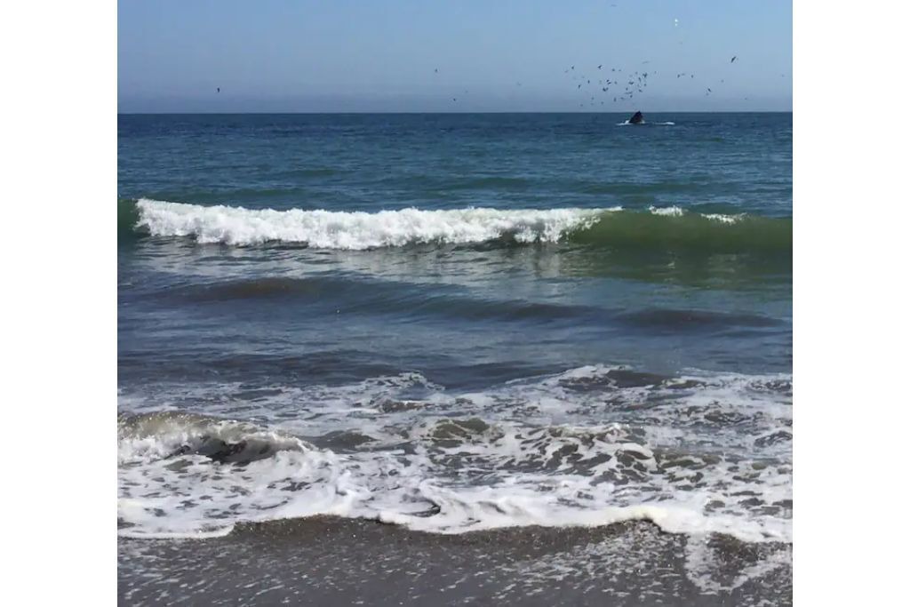 Photo of Others in Aptos
