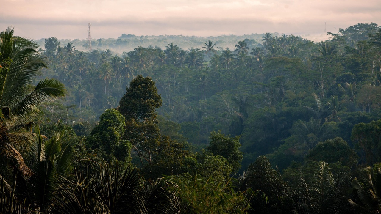 Photo of Outdoor in Sebatu