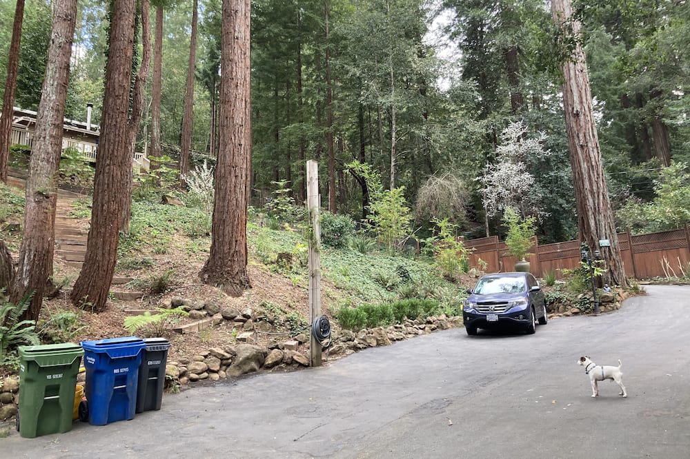 Photo of Outdoor in Scotts Valley
