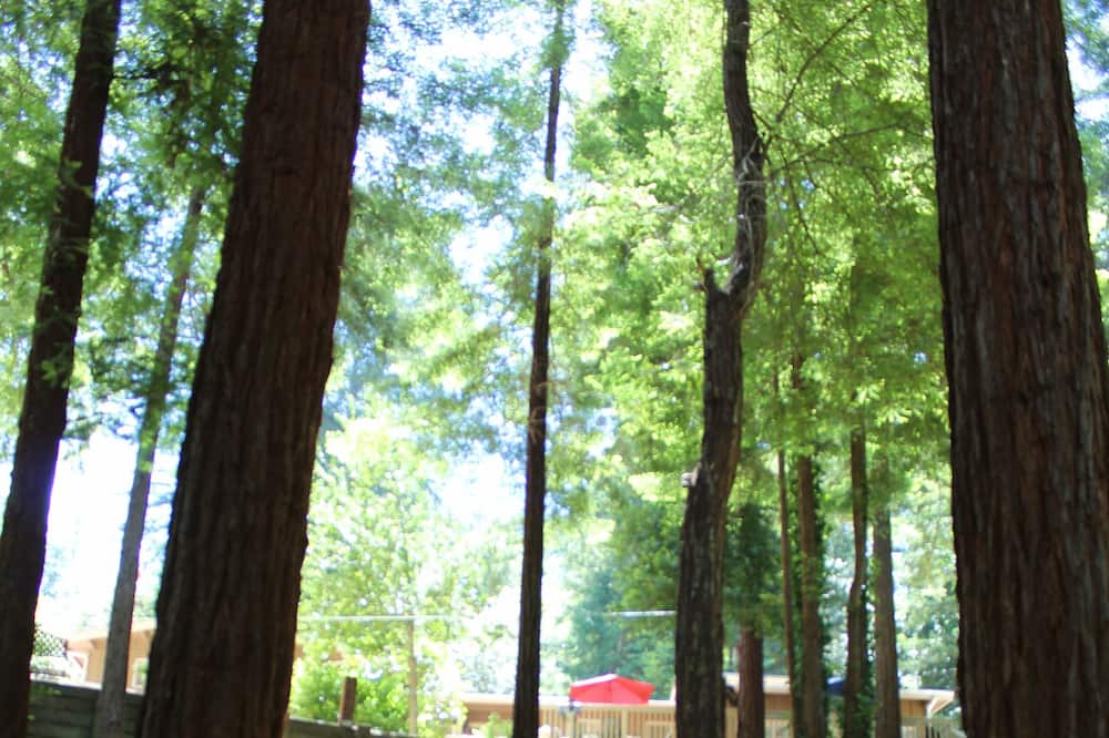 Photo of Others in Scotts Valley