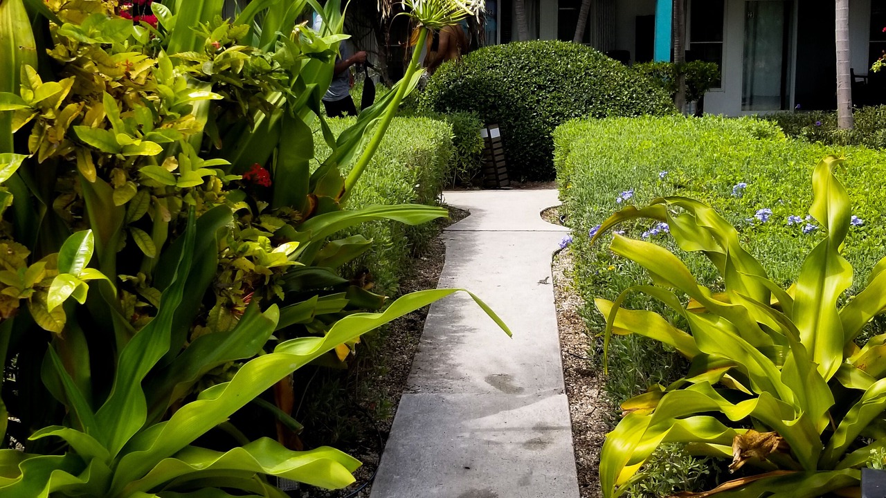 Photo of Outdoor in Grace Bay