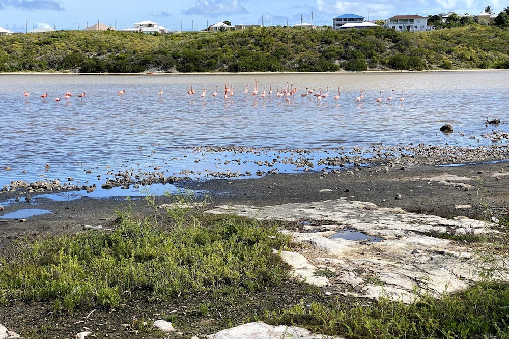 Photo of Others in Cockburn Town