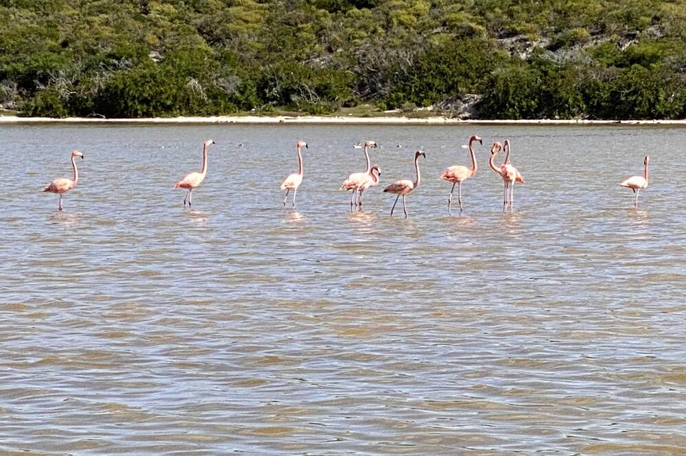 Photo of Others in Cockburn Town