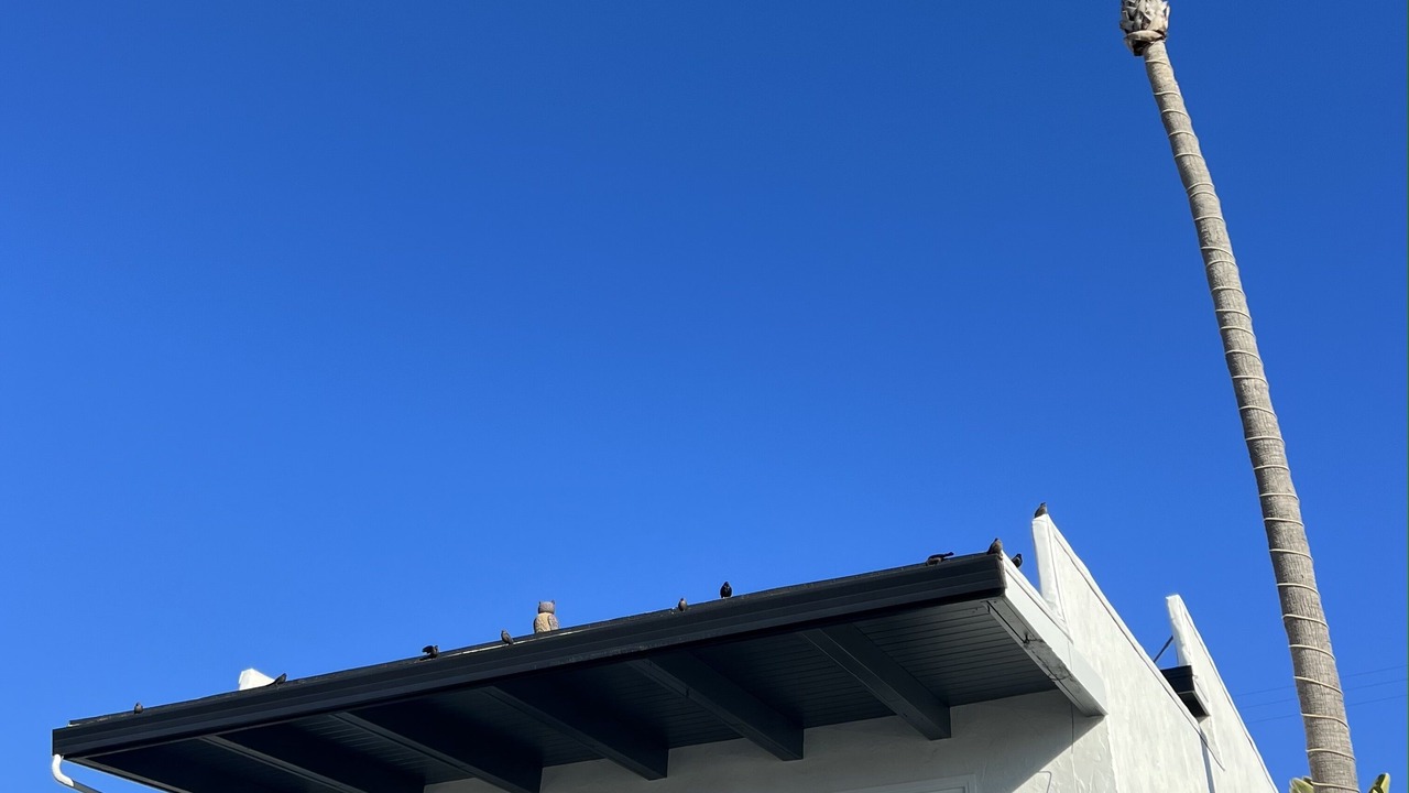 Photo of Outdoor in Rio del Mar
