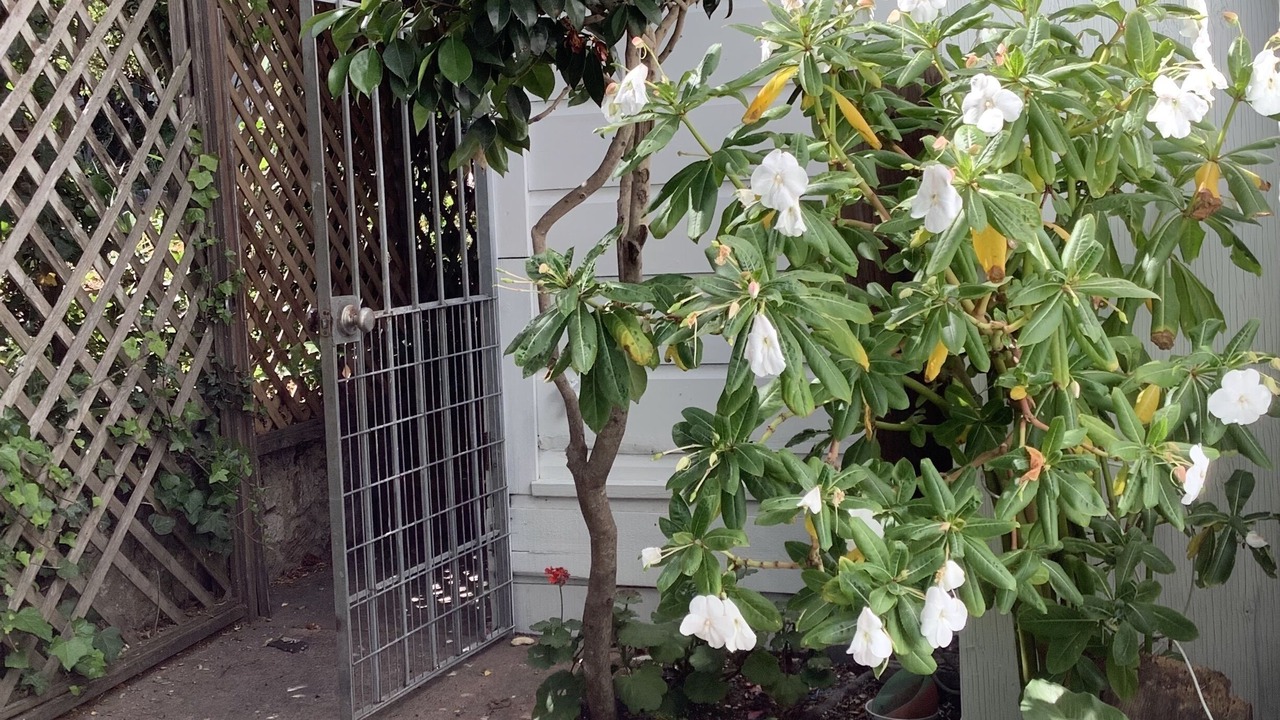 Photo of Outdoor in Beach Hill - Beach Flats