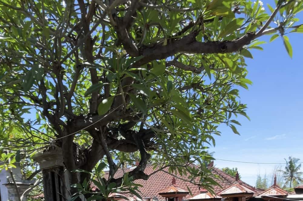 Photo of Outdoor in Buleleng