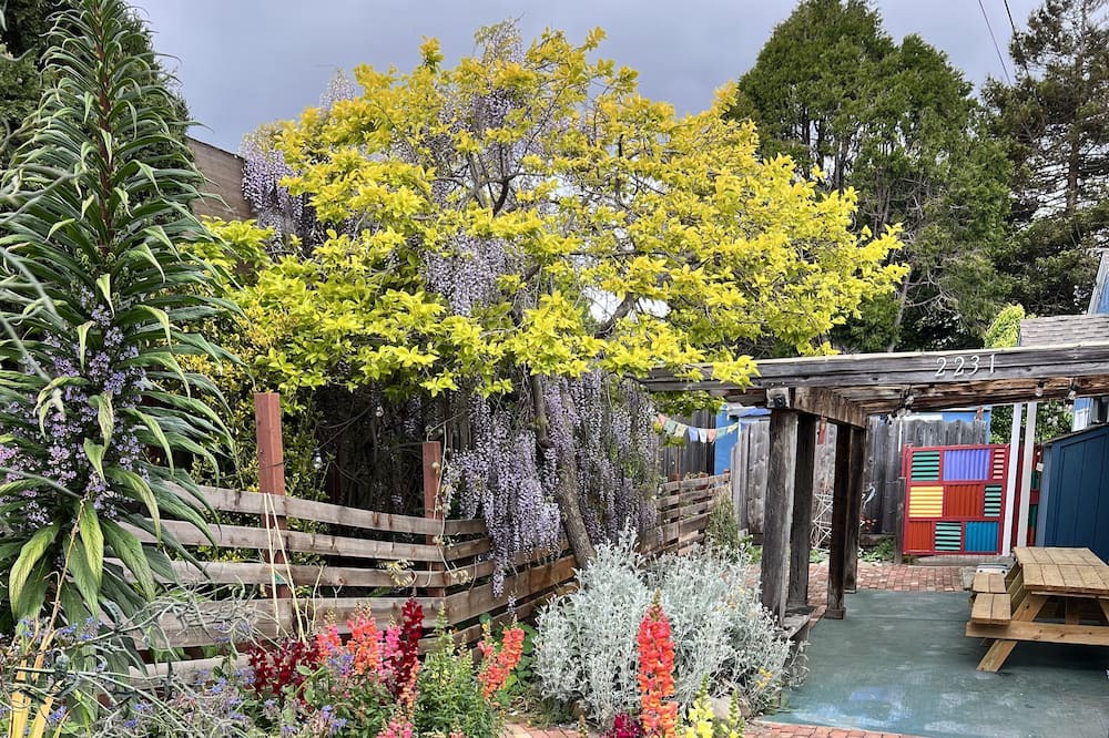 Photo of Outdoor in Eastside Santa Cruz
