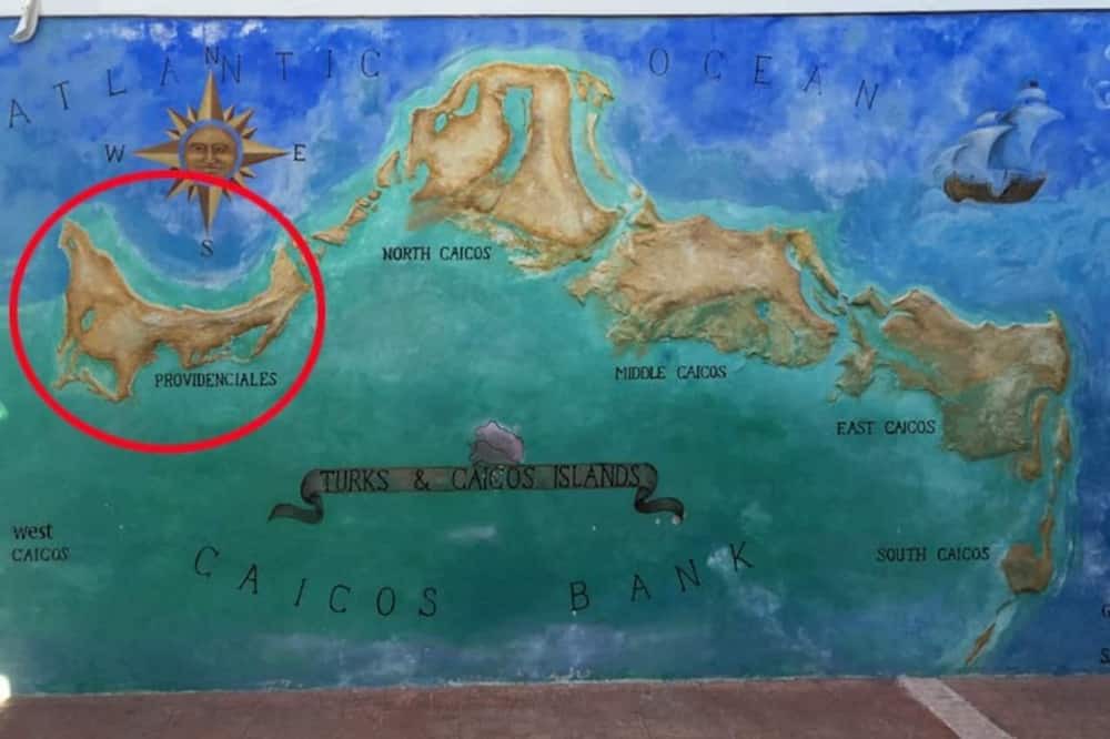 Photo of Others in The Bight