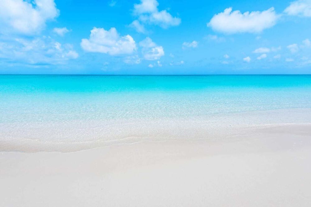 Photo of Others in The Bight