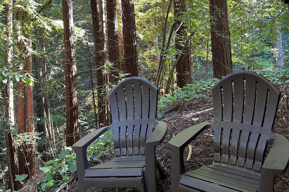 Photo of Outdoor in Ben Lomond