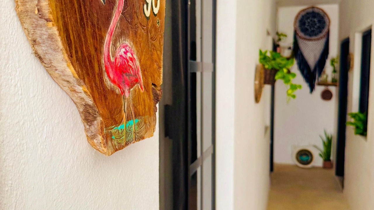 Photo of Others in Downtown Holbox