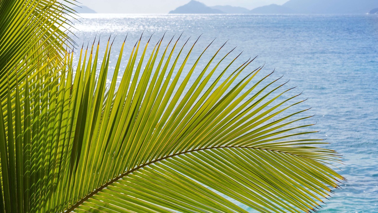 Photo of Outdoor in Mahe Island