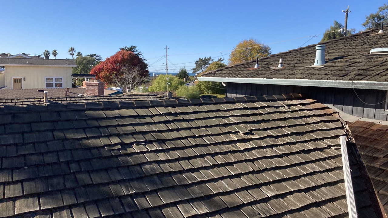 Photo of Others in Eastside Santa Cruz