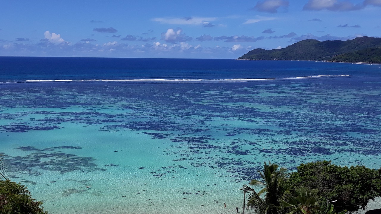 Photo of Others in Anse Royale