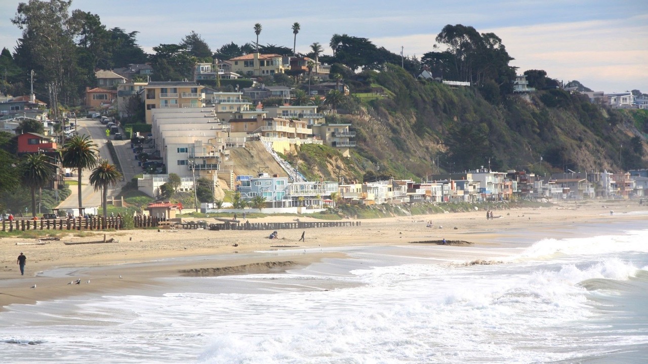 Photo of Others in Westside Santa Cruz