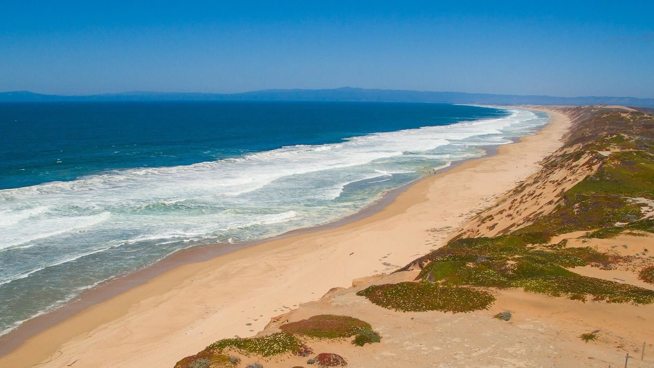 Photo of Others in Westside Santa Cruz