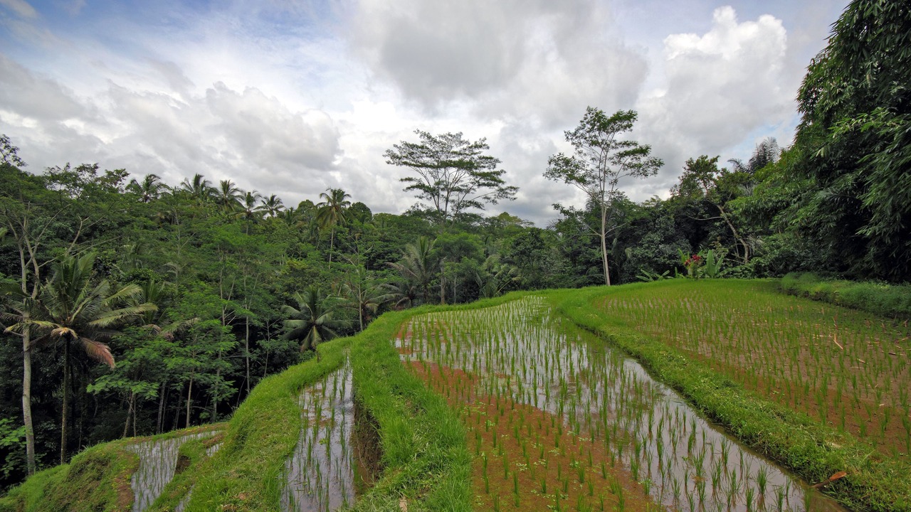 Photo of Outdoor in Sambahan