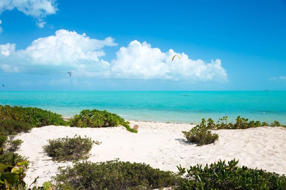 Photo of Others in Long Bay