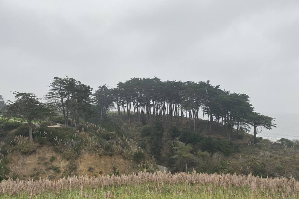 Photo of Others in Rio del Mar