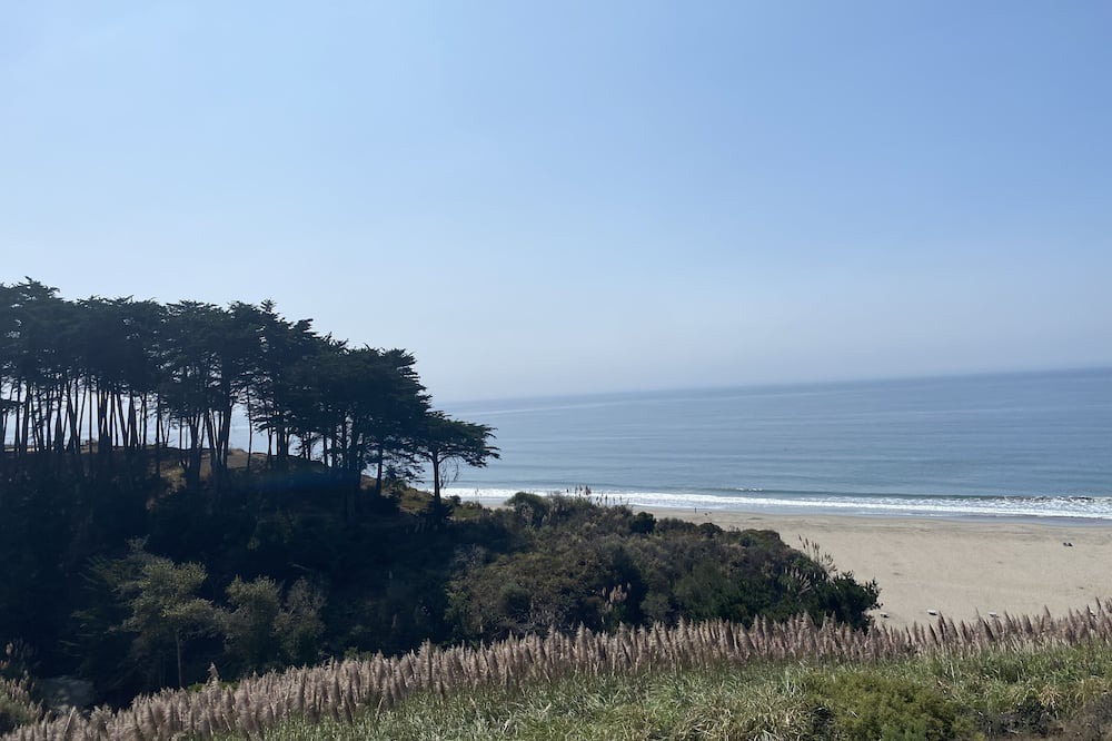 Photo of Others in Rio del Mar