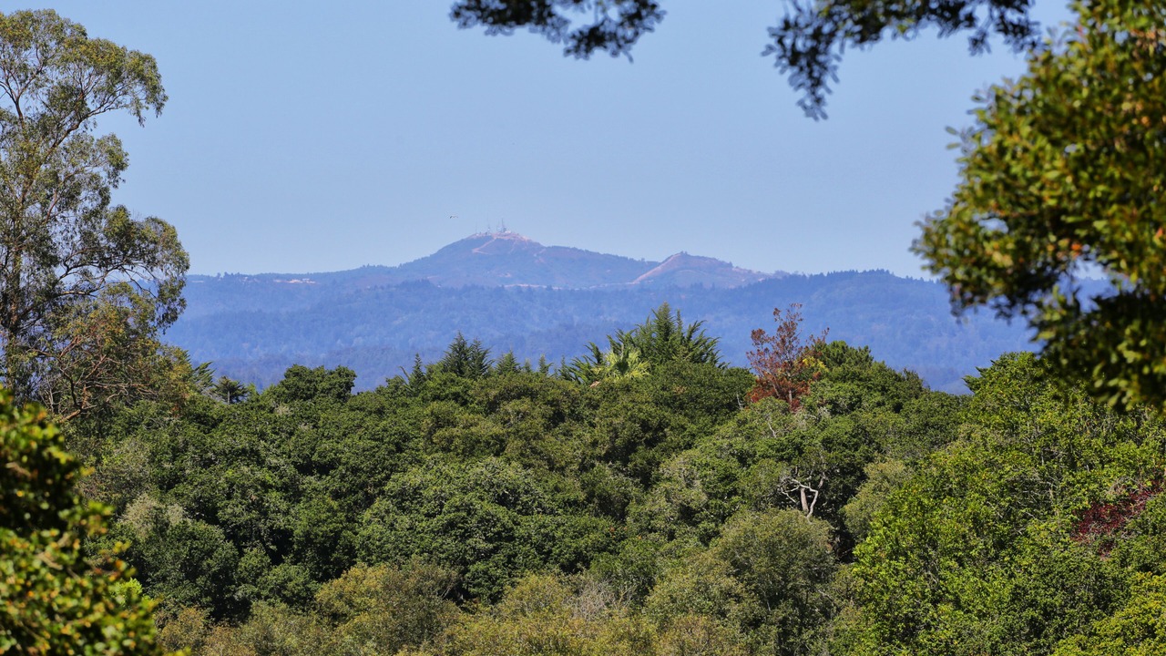 Photo of Others in Eastside Santa Cruz