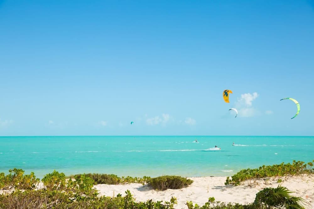 Photo of Others in Long Bay