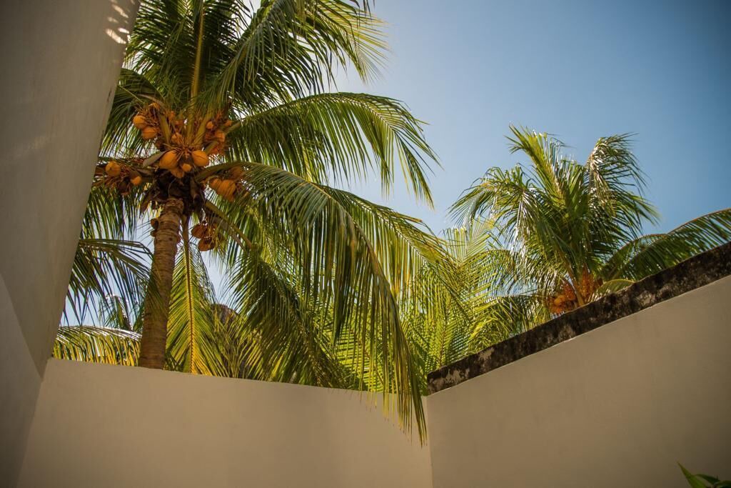 Photo of Others in Isla Holbox