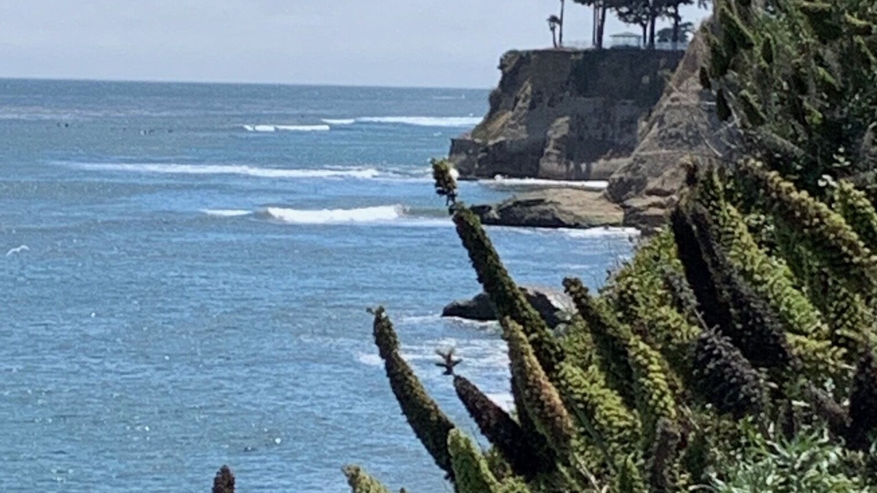 Photo of Others in Capitola
