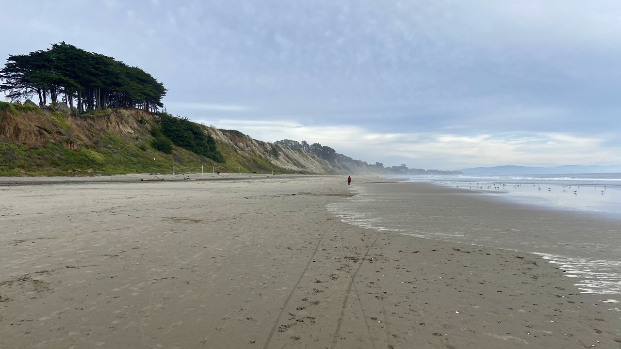 Photo of Others in Rio del Mar