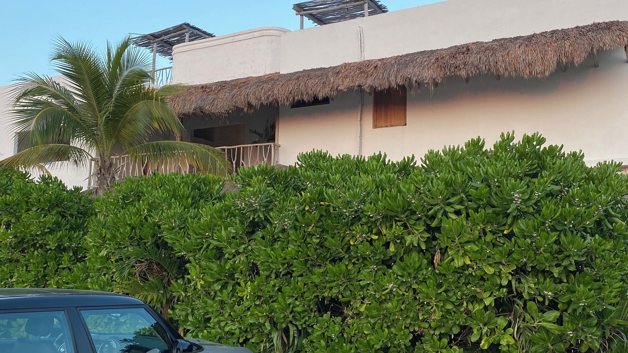 Photo of Others in Costa Mujeres