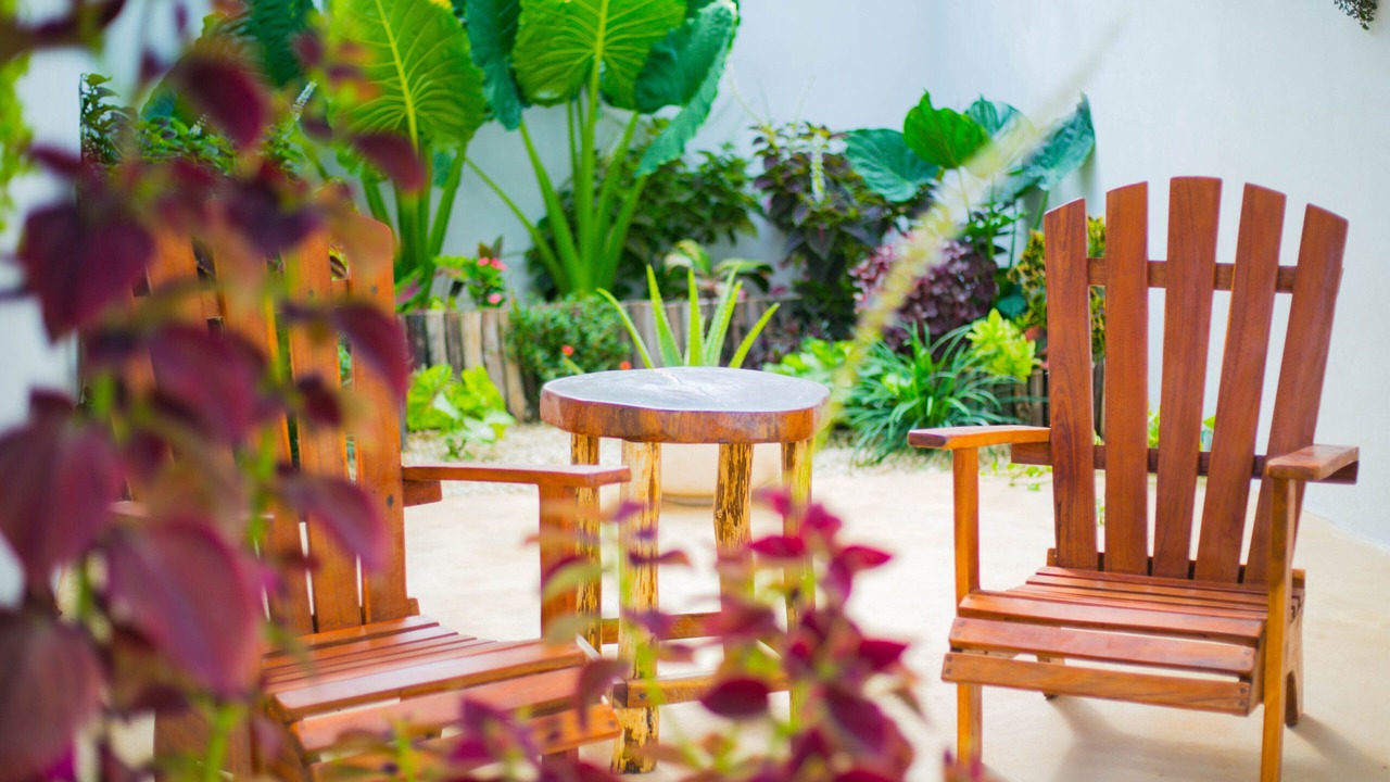 Photo of Outdoor in Chiquila