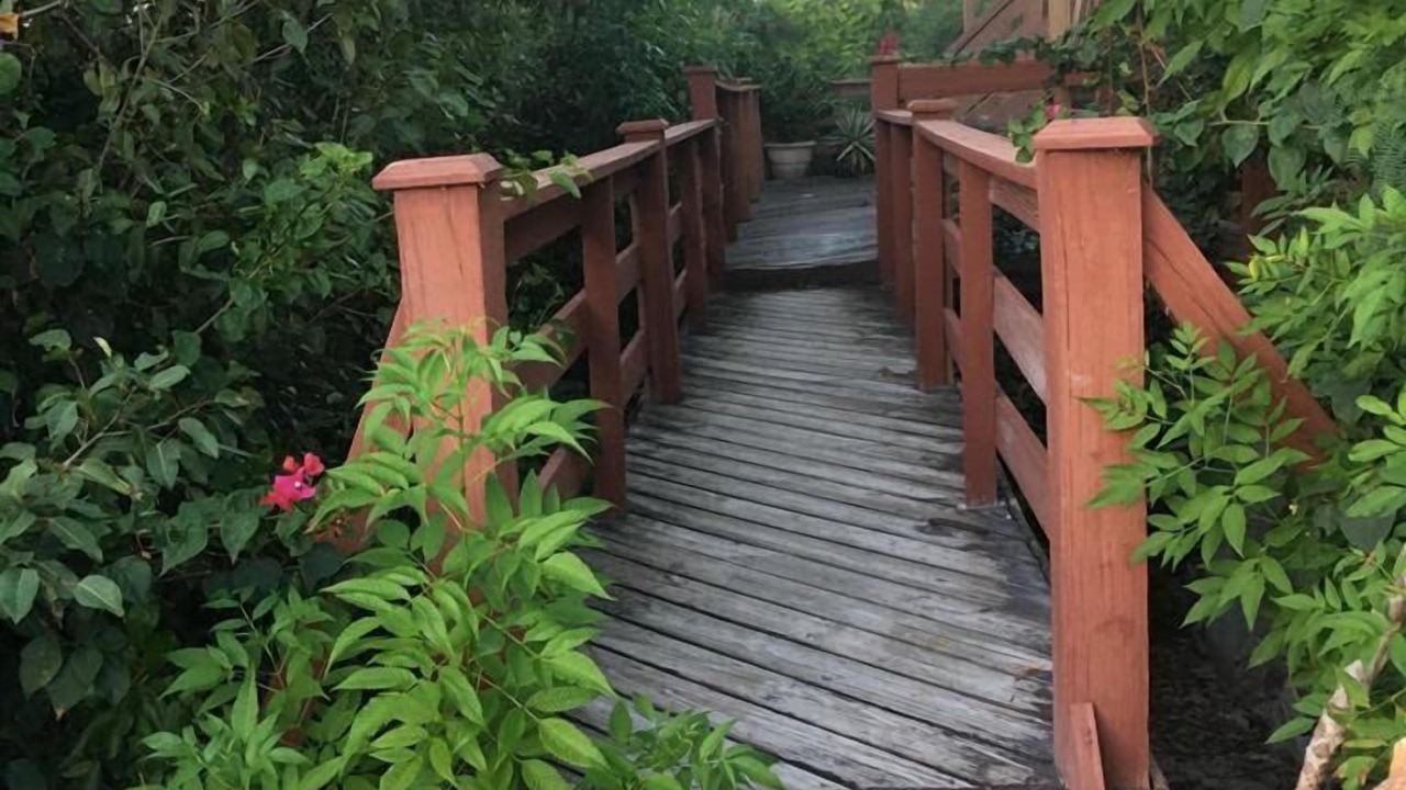 Photo of Outdoor in Blue Hills