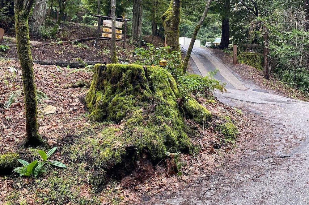 Photo of Outdoor in Scotts Valley
