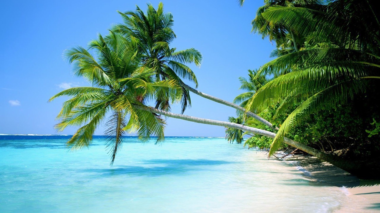 Photo of Others in Anse Royale