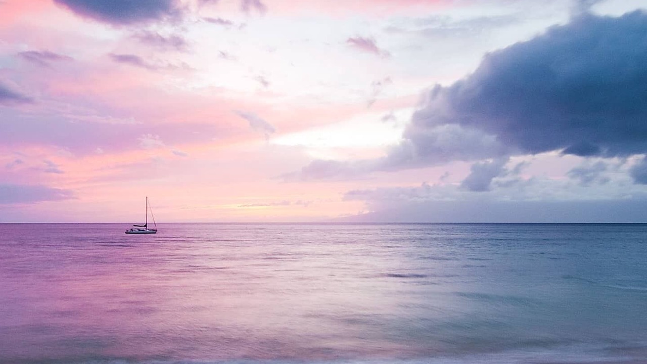 Photo of Others in Anse Royale