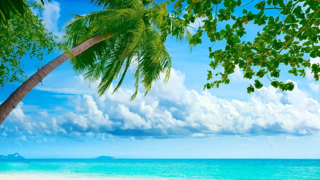 Photo of Others in Anse Royale