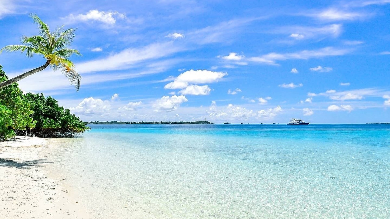 Photo of Others in Anse Royale