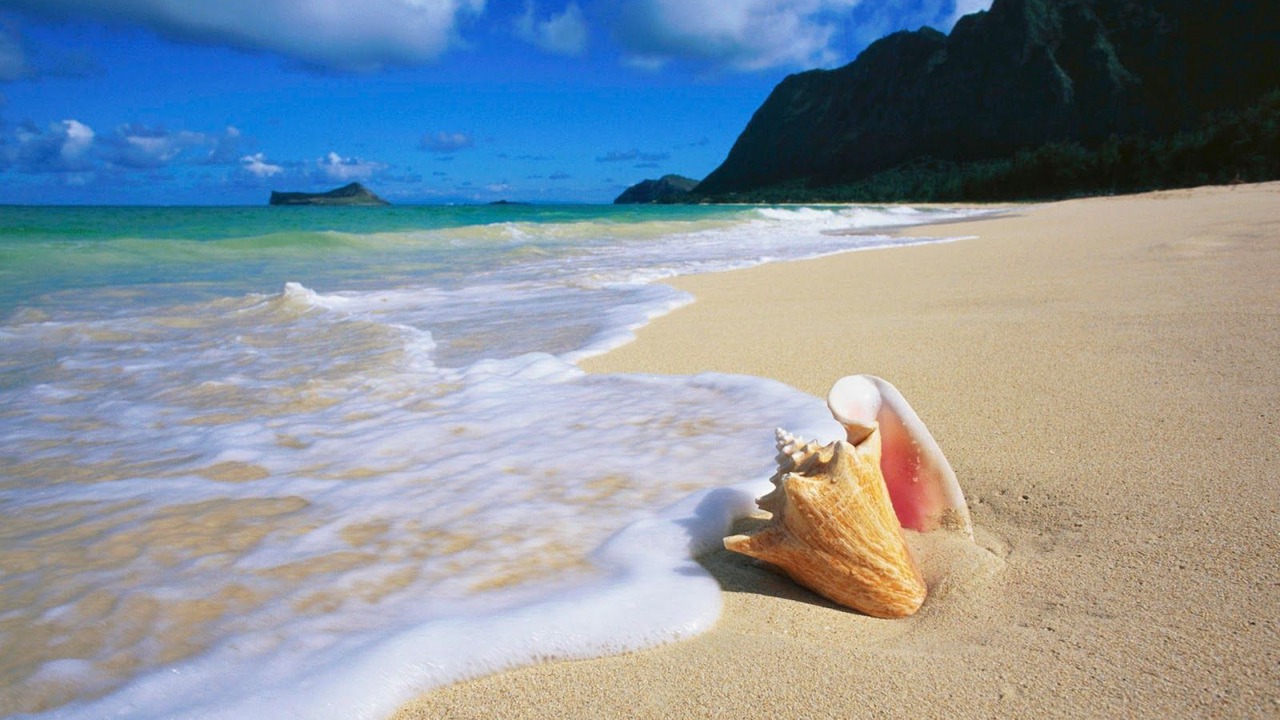 Photo of Others in Anse Royale