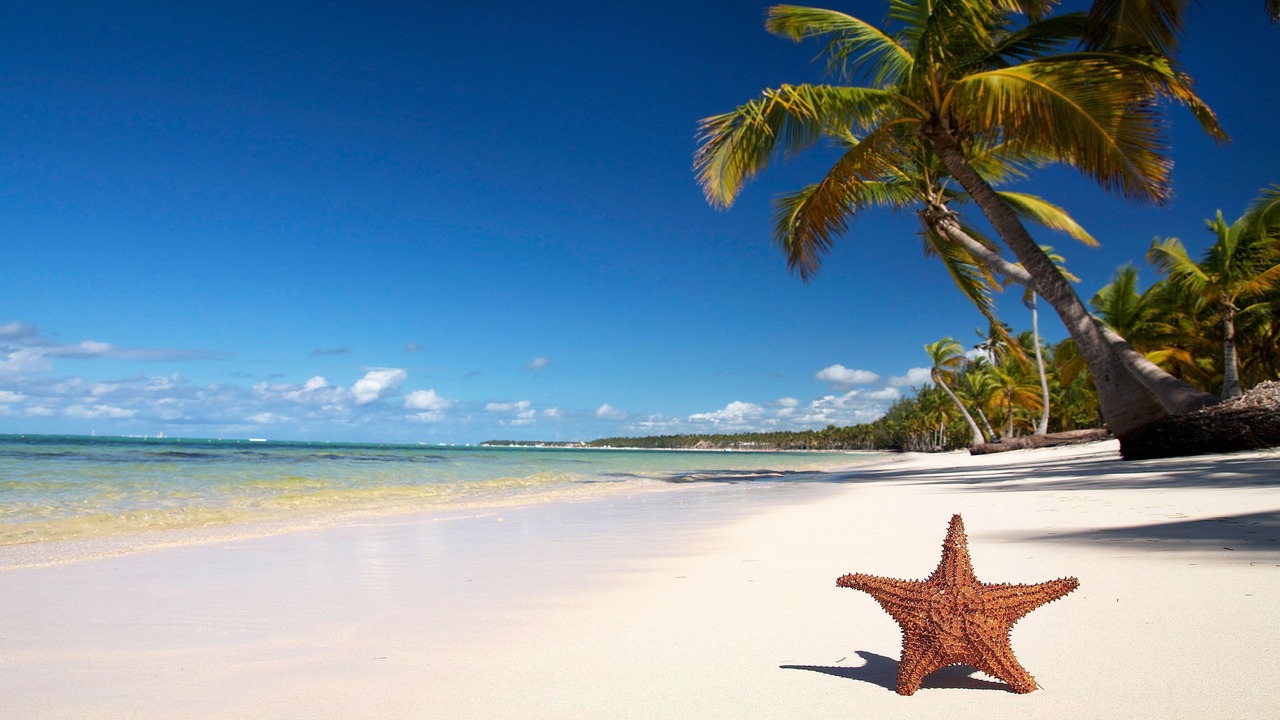 Photo of Others in Anse Royale