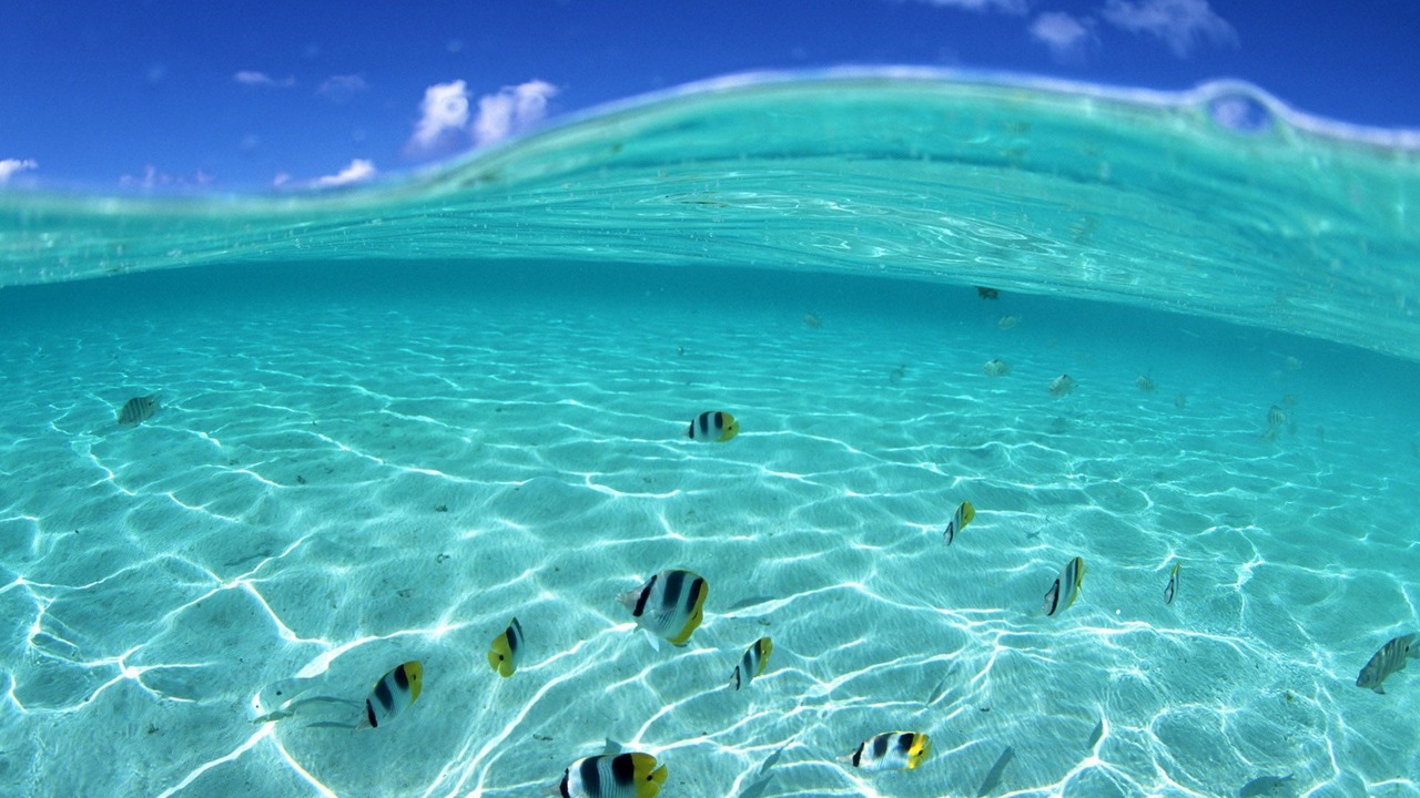 Photo of Outdoor in Anse Royale