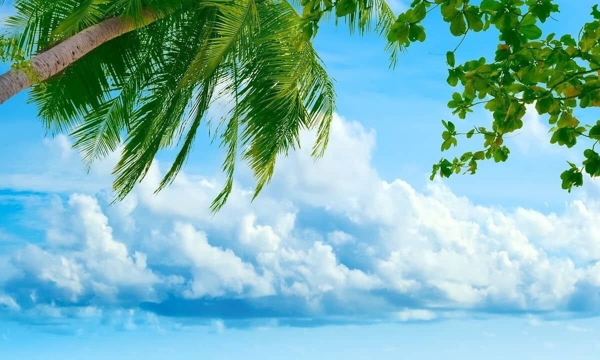Photo of Others in Anse Royale