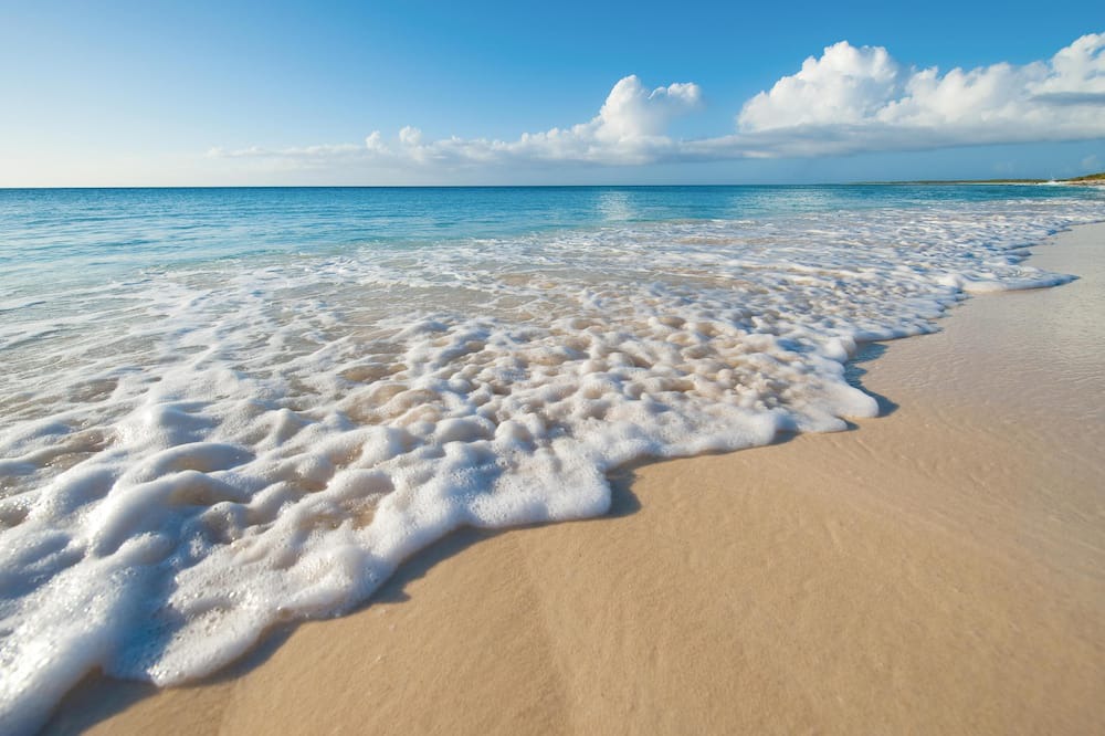Photo of Others in Grace Bay